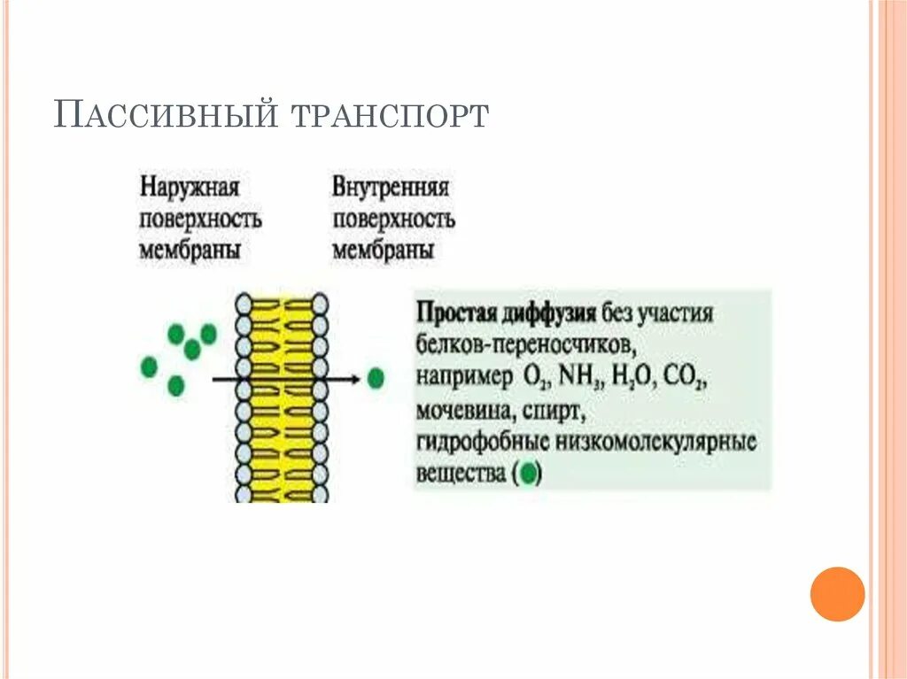 Пассивная диффузия через мембрану. Пассивный транспорт простая и облегченная диффузия. пассивный транспорт. пассивный котранспорт. активный и пассивный транспорт веществ через мембрану.