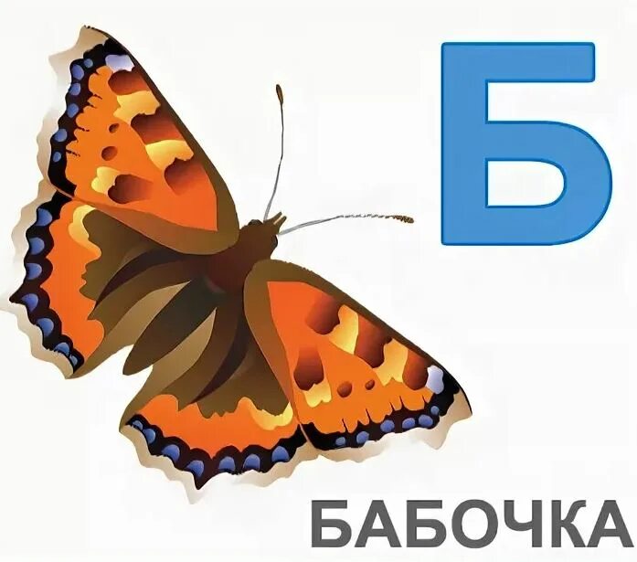 Какая бывает буква б. Карточки с изображением буквы б. Буква в бабочка. Карточки с картинками на букву б. Буква б бабочка.