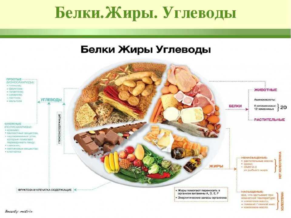 Белки жиры углеводы соотношение правильное питание таблица. Схема питания белки жиры углеводы. Продукты по содержанию белка жиров и углеводов. Схема питания углеводы белок жиры.