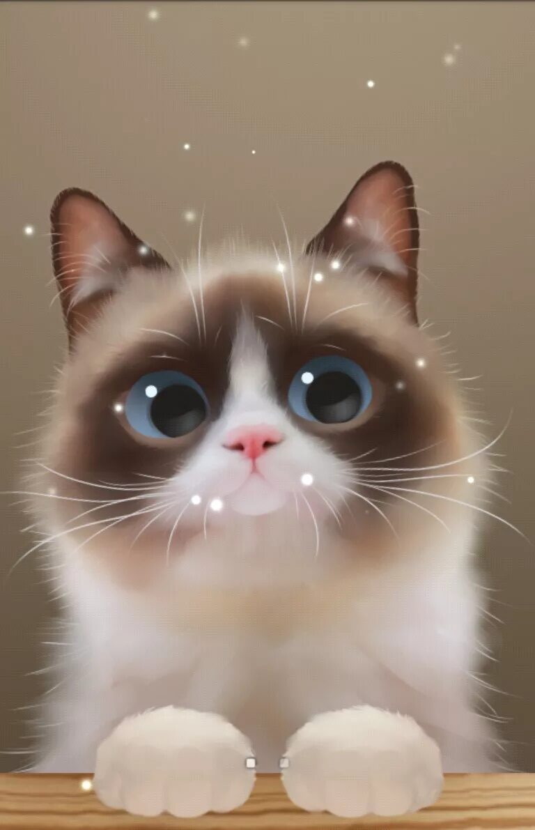 Приложение для котиков