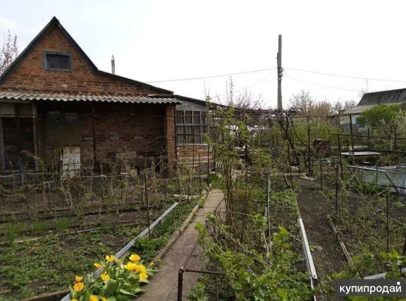 Участок садовый ростовская область. Участок садовый ростовская область. Участок садовый ростовская область. Ростовская область хутор махин фото. Задонье ростов снт.