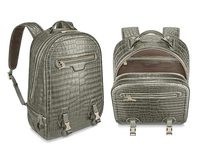Рюкзак Louis Vuitton. Рюкзак из крокодиловой кожи Louis Vuitton. Дорогие рюкзаки. Старый рюкзак.