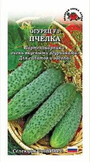 Огурец пчела