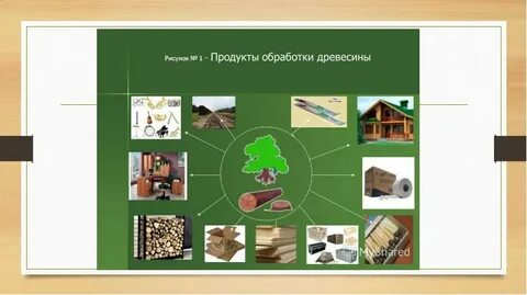Школьный проект 7 класс
