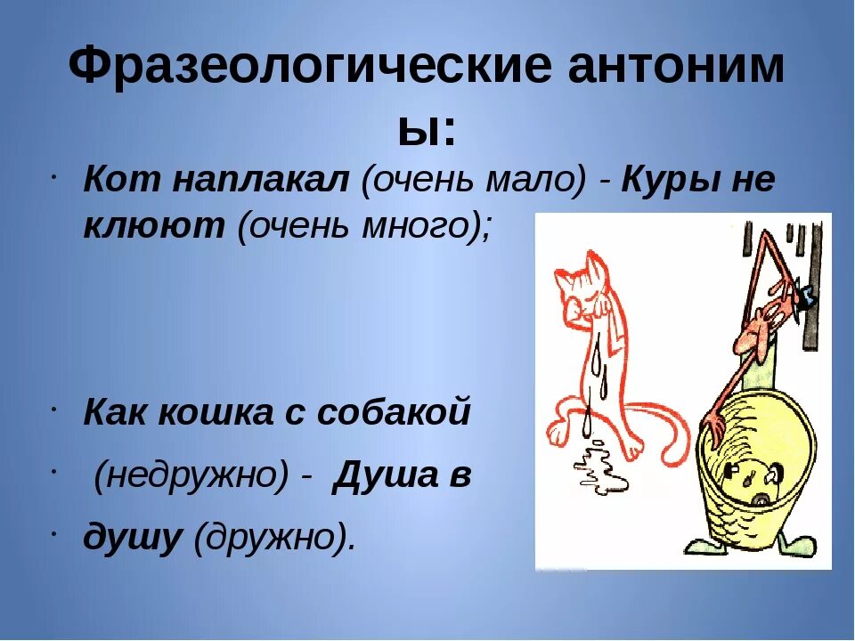 Фразеологизм маленький. Кот наплакал фразеологизм. Кот наплакал значение фразеологизма. Очень много фразеологизм. Кот наплакал антоним фразеологизм.