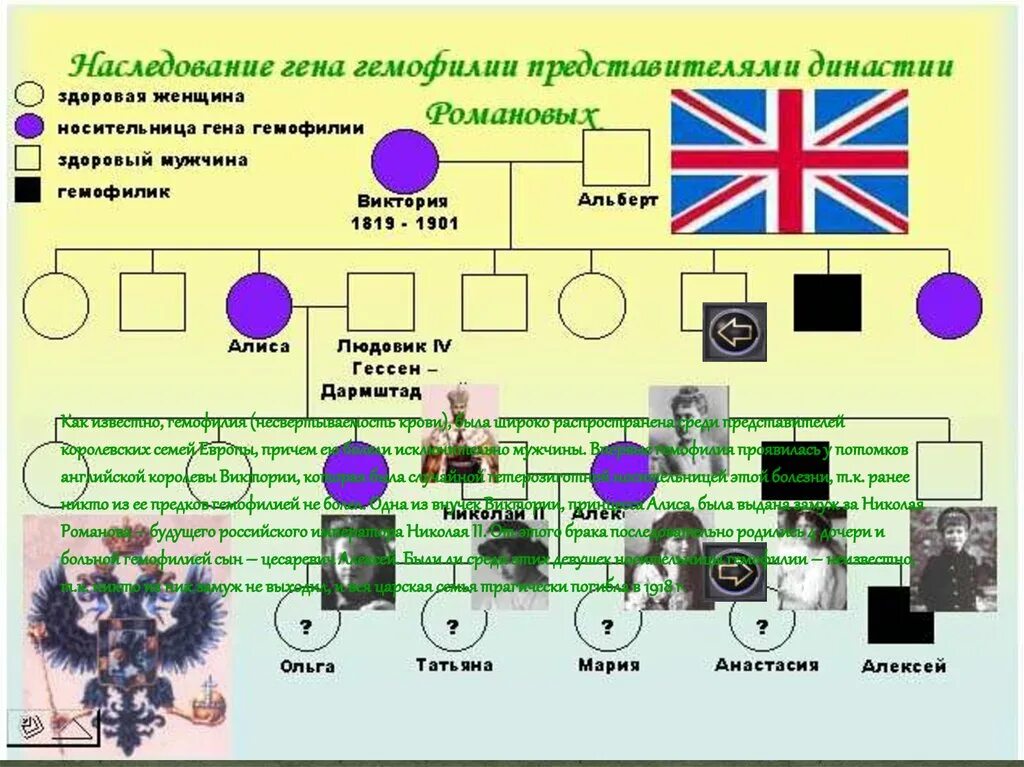 Родословная семьи Романовых гемофилия. Родословная Романовых гемофилия. Генеалогическое дерево царской семьи Романовых по гемофилии. У матери не являющейся носителем гена гемофилии