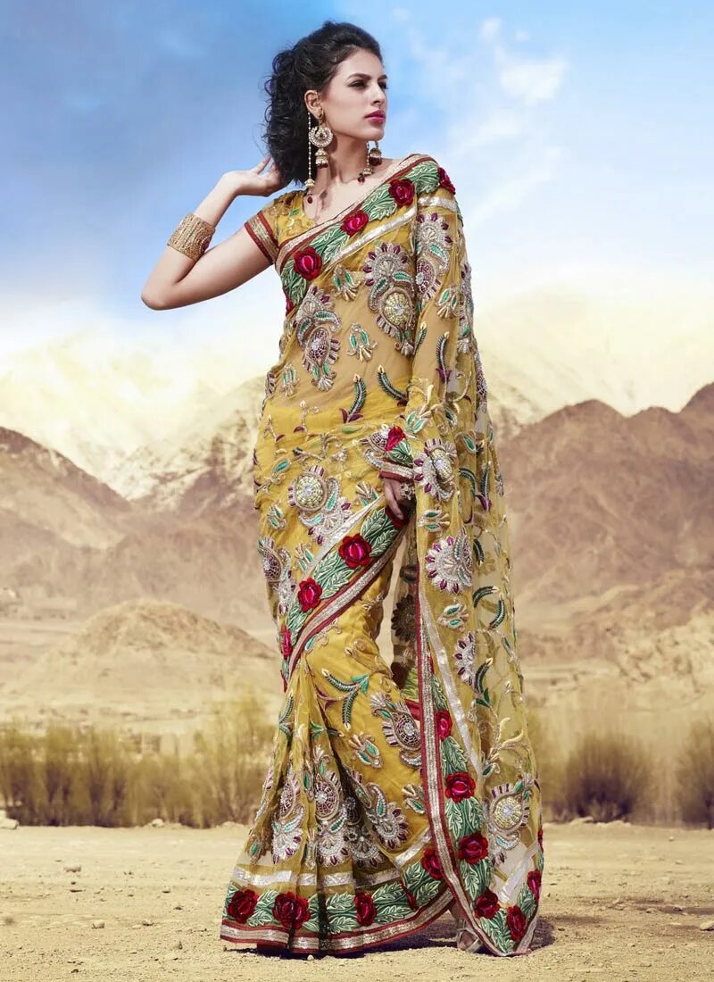 Сари Кауранен. Амилия Сари. Индийские Сари красивые. Сари с длинным рукавом. Сари сайт