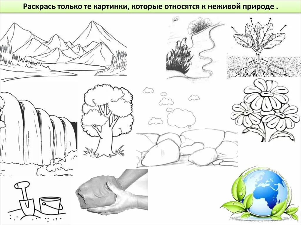 Задания к уроку к экологическая безопасность. Живая и неживая природа задания для детей. Живая и неживая природа задания для дошкольников. Природный ми мир для дошкольников. Неживая природа задания для дошкольников.