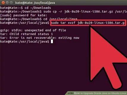 Java ubuntu