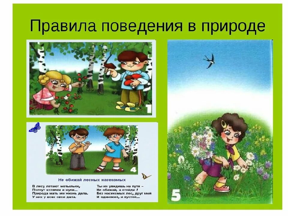 Назовите 3 правила безопасного поведения в лесу. Правила поведения на природе. поведение в природе для дошкольников. правилаповедение в лесу. правила поведения в лесу для дошкольников.