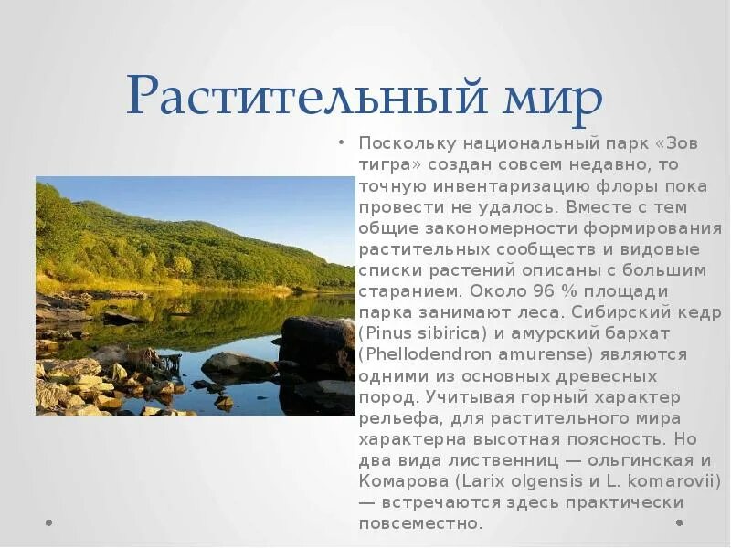 Тигр где охраняется заповедник или национальный парк. Парк зов тигра. национальный парк зов тигра растительный мир. заповедник зов тигра кратко. национальный парк зов тигра презентация.