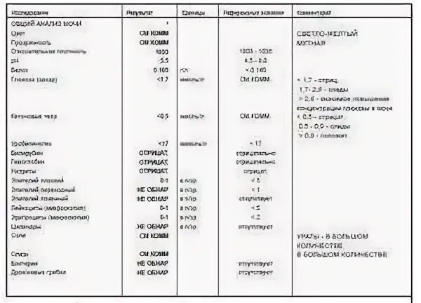 Повышена слизь в моче