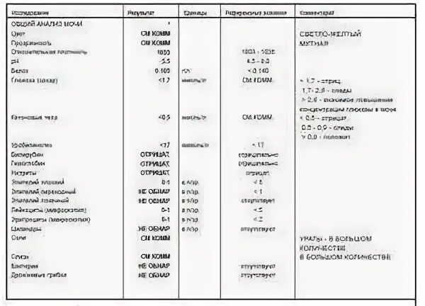 Слизь в умеренном количестве