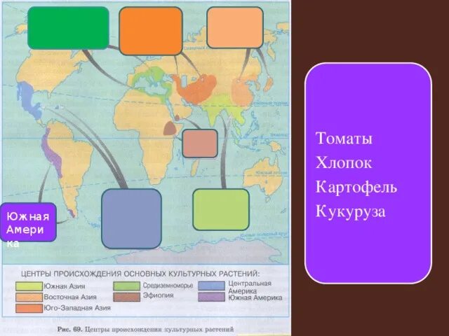 Томат центр происхождения культурных растений. Центр происхождения картофеля. Южноамериканский центр происхождения культурных растений. Томаты, картофель центр происхождения.