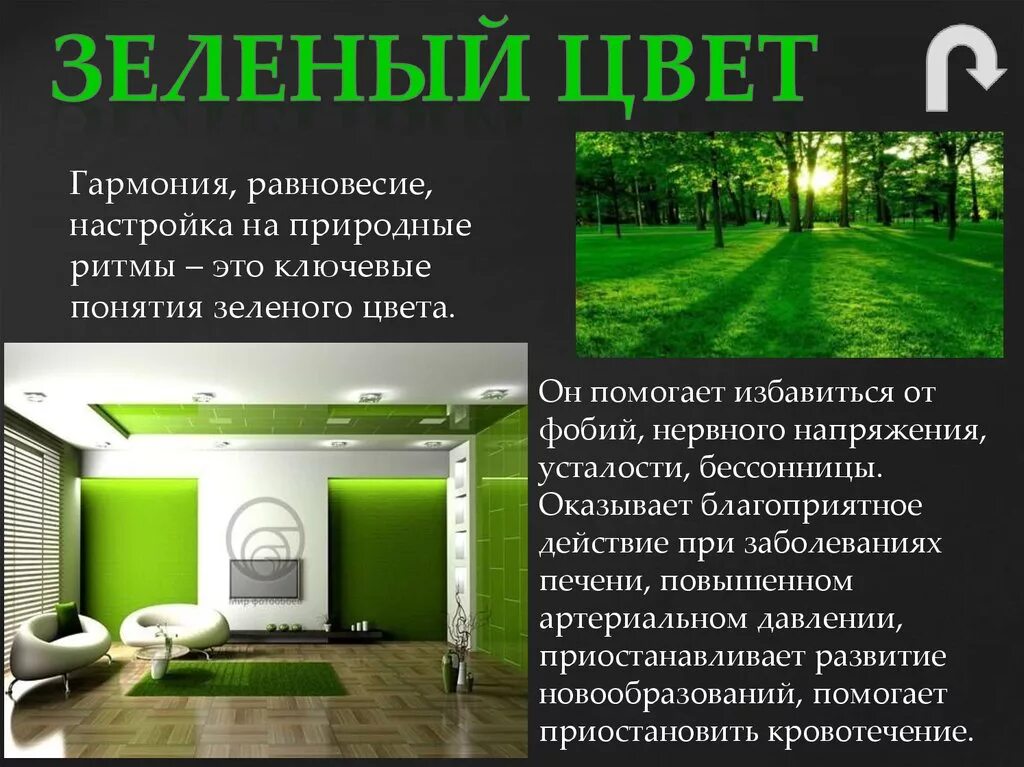 Зеленый значение цвета. Влияние зеленого цвета. влияние зеленого цвета на человека. зеленый цвет в психологии. воздействие салатового цвета.