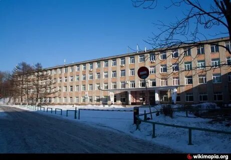 Вск владивосток колледж