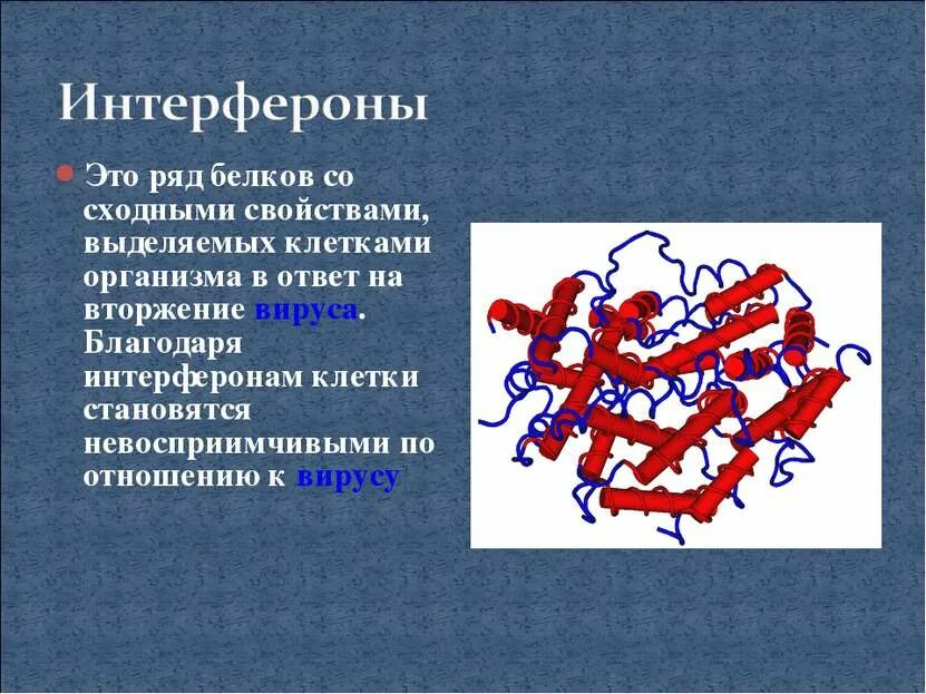 Интерфероны вырабатывают. Интерферон. белки интерфероны. интерфероны иммунология. интерферон микробиология.