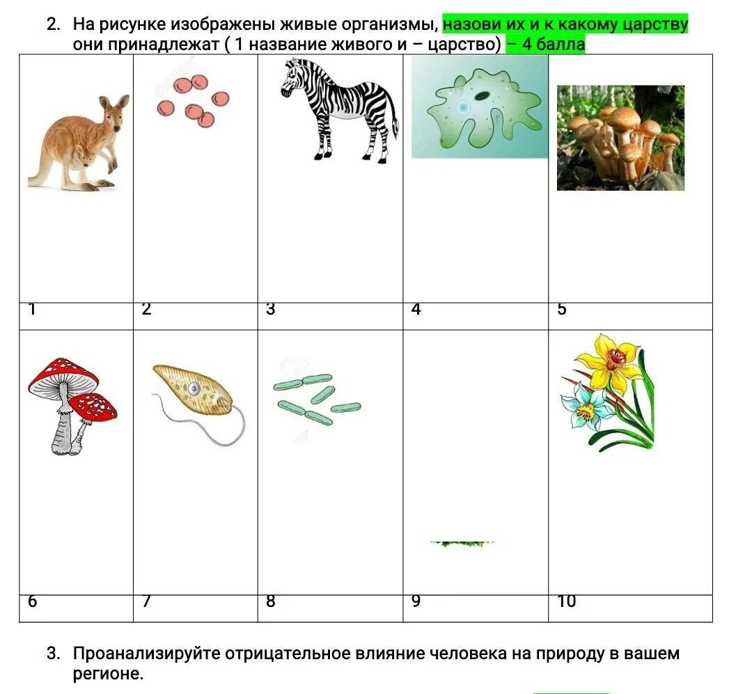 Царства живых организмов рисунок. Название живых организмов. Схема Царств живых организмов. Название царства название живого организма. Назовите живые организмы.