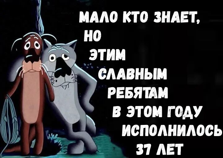 Щас спою. Сейчас спою. Волк сейчас спою. Щас споем. Споем что ли