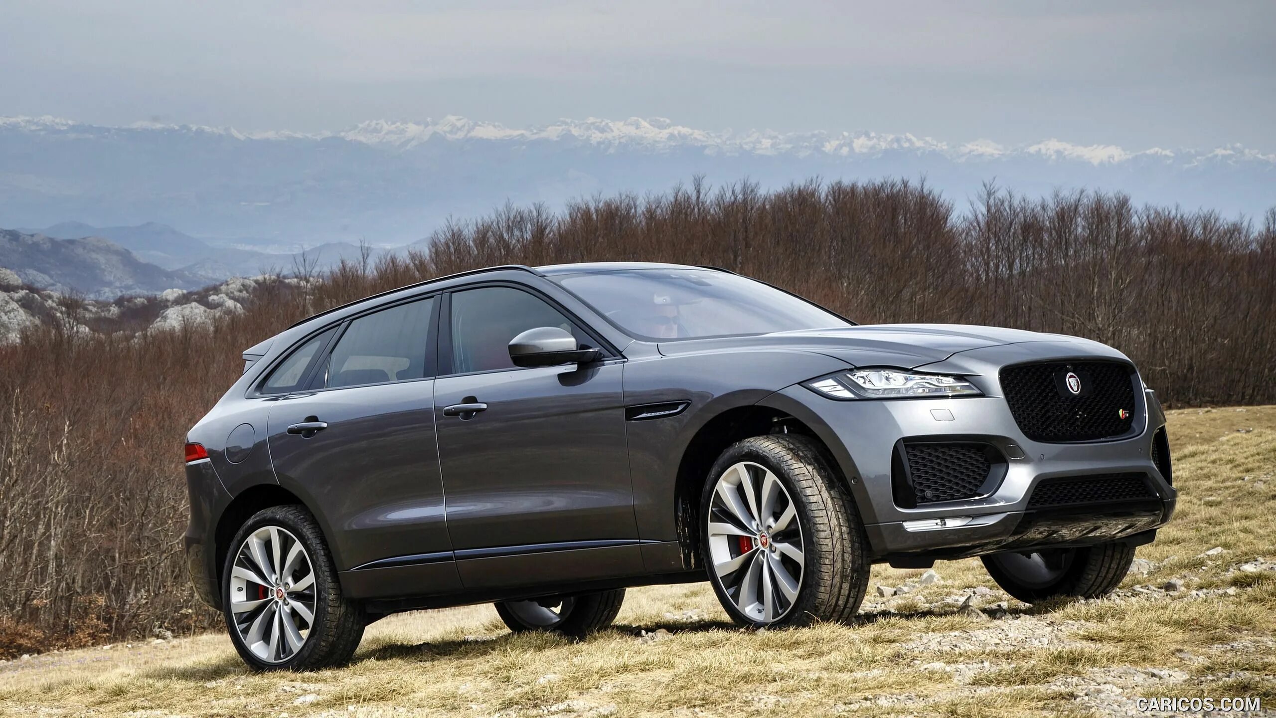 Jaguar f-pace. Jaguar f pace pace 2020. Ягуар ф пейс 2018. Ягуар фпейс. Jaguar f pace 2017.