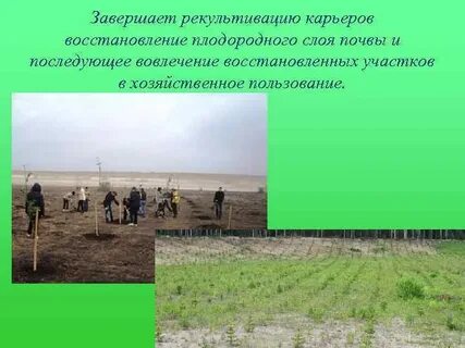 Экспертиза рекультивации земли