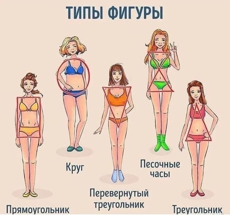 Сколько видов женских. Типы фигур. типы женских фигур. типы женского телосложения. типы женщин по фигуре.