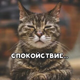 Нервная картинка смешная