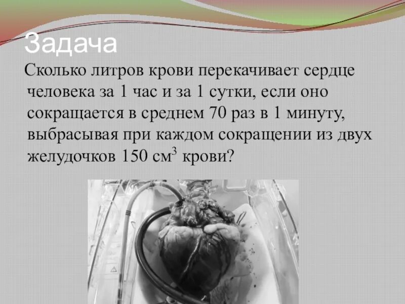 Количество в 1 литре крови. Сколько литров крови в человеке. Сколько литров крови перекачивает сердце. Сколько литров крови перекачивает сердце за сутки. Сколько всего литров крови в человеке.