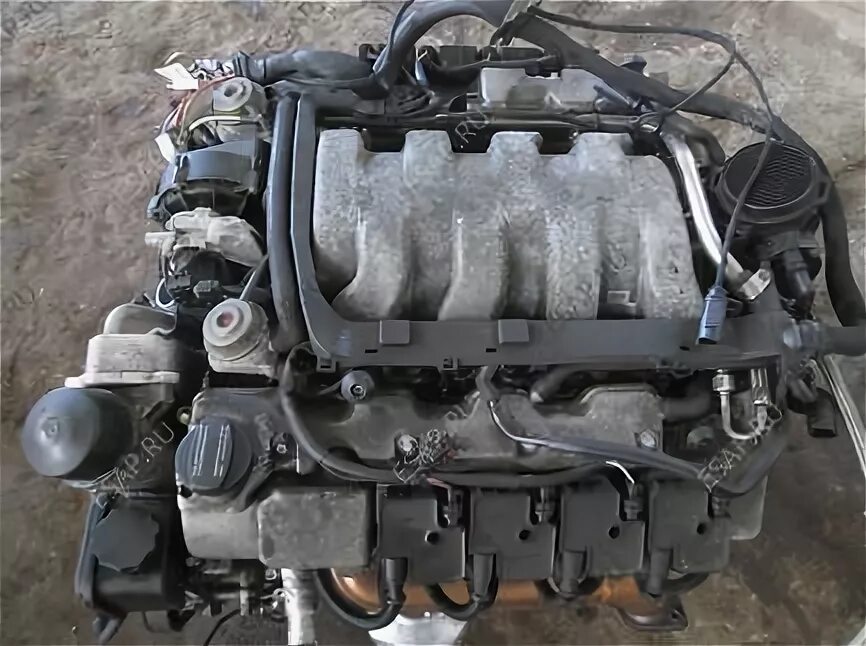 Mercedes 5. 5 мотор мерседес. M113. Mercedes-benz m113 engine. Двигатель mercedes m113.