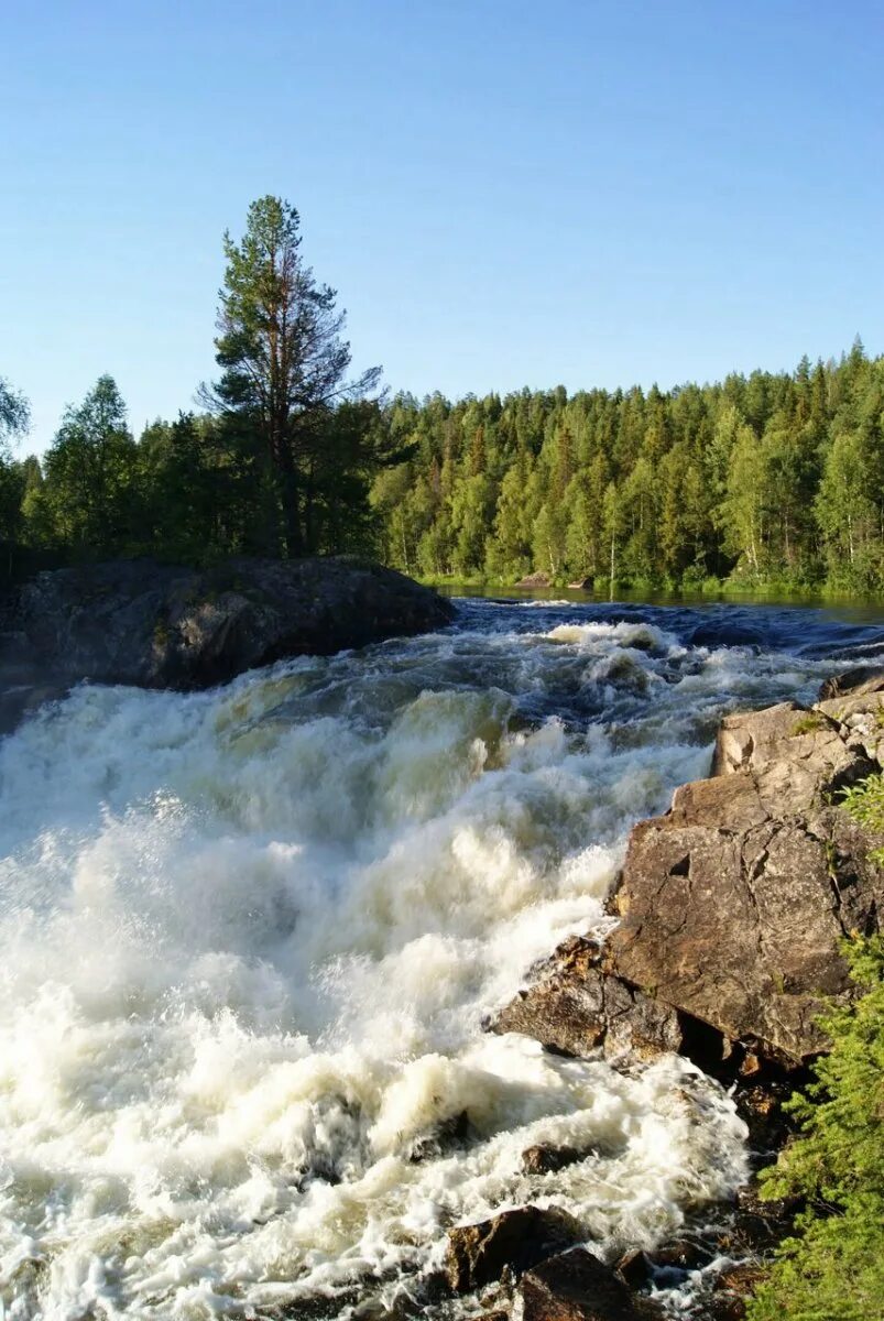 Дика карелия дика. Водопад Мянтюкоски Карелия. Водопад Киваккакоски. Водопад Паанаярви. Водопад Киваккакоски в Карелии.