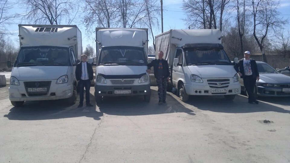 Встреча газелистов. Секта газелистов. Газелисты. Газель зимой. Клуб газелистов фото.