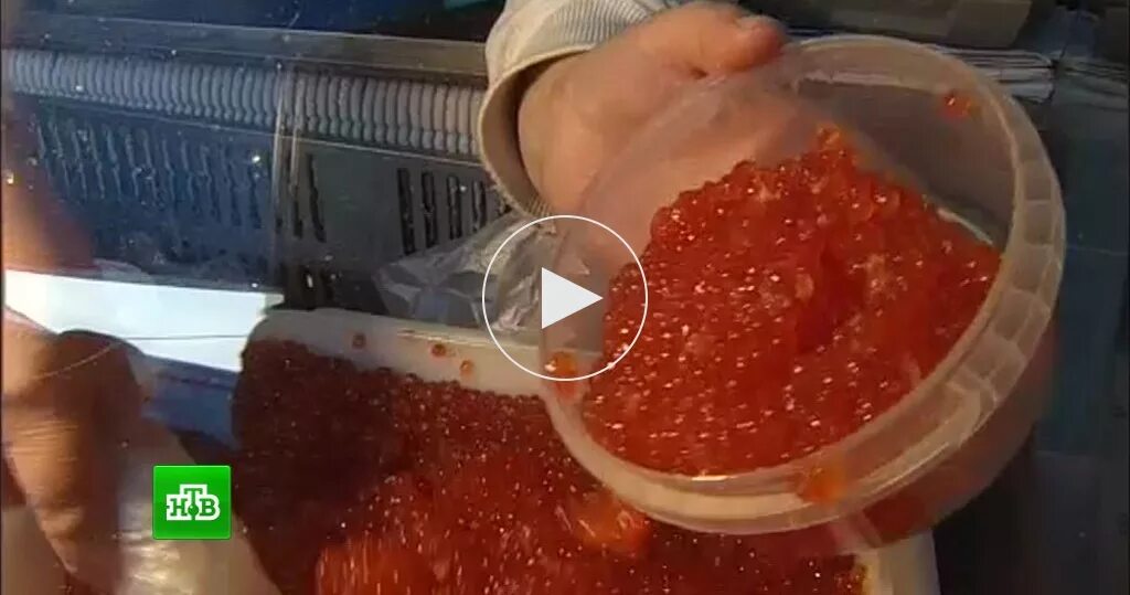 Можно ли красную икру отправить посылкой. Рекламный ролик красной икры. ikra видеореклама. видео про хенеси и красную икру. грогу ест икру.