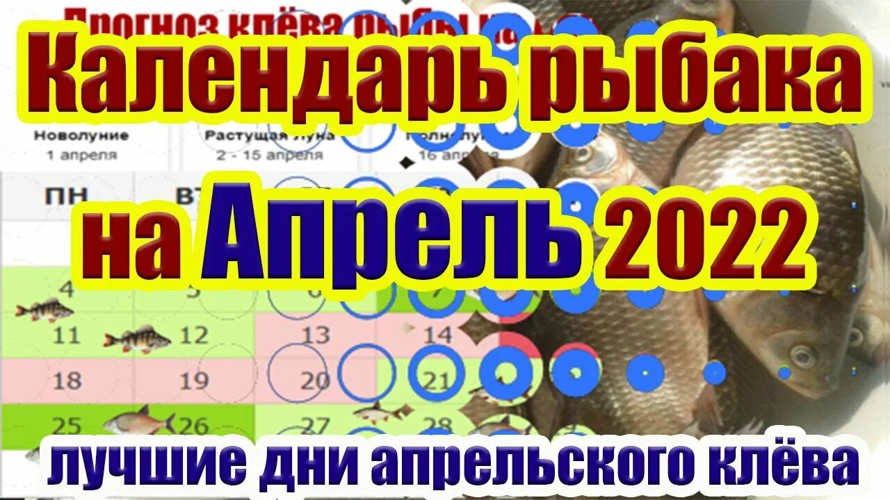 Дни клева в апреле. Календарь рыболова. Рыболовный календарь на апрель. Календарь клева рыбы на апрель. Календарь рыбака на апрель 2022.