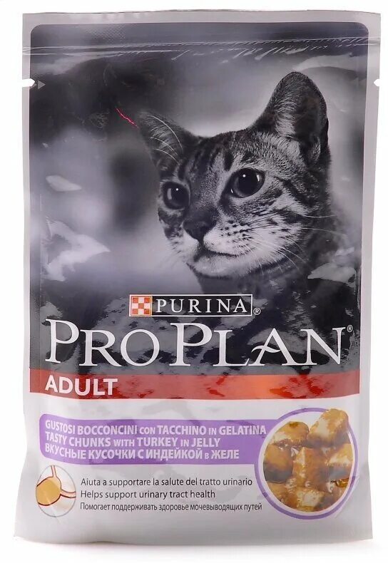 Проплан для кошек купить дешевле. Purina Pro Plan для кошек паучи. Проплан для кошек жидкий корм. Влажный корм для котят Проплан. Жидкий корм для котят Проплан.