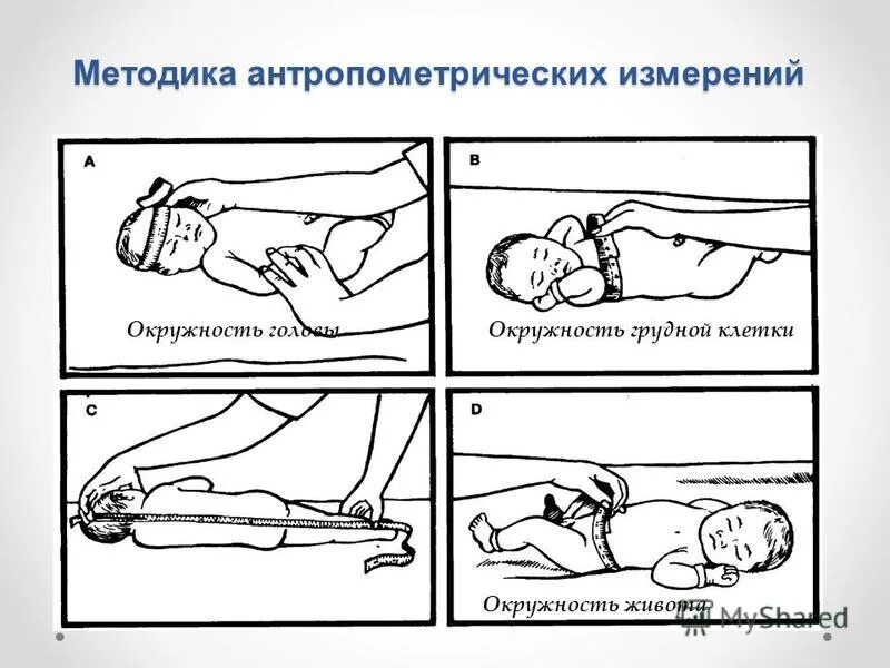 Алгоритм окружности головы. Измерение окружности головы грудного ребенка. Измерение окружности груди у детей. Измерение окружности грудной клетки грудного ребенка. Как правильно измерить рост новорожденного.