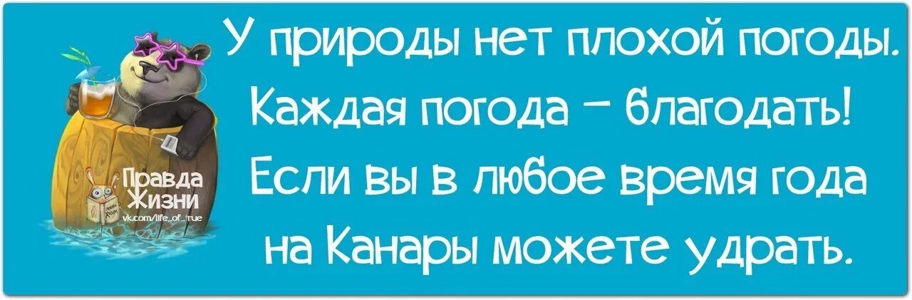 В любое время при наличии. Смешные высказывания о погоде. У природы нет плохой погоды цитаты. Смешные фразы про погоду. Цитаты про погоду.