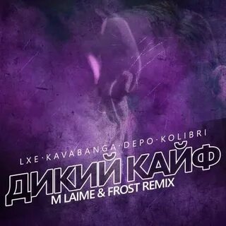 Дикий кайф с кем же летал