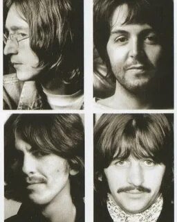 White beatles