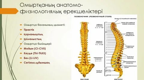 Кім өз аузына сиқырлайды?