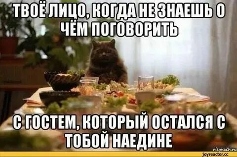 Поговорить приезжать знаю