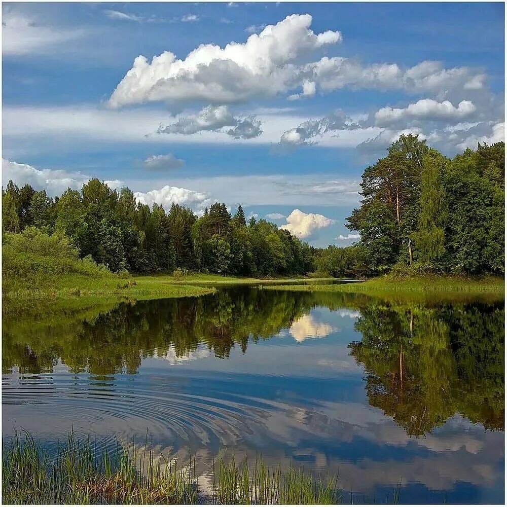 Река Игуменка Кострома. Кострома природа реки. Природа Костромской области. Река Кострома в Ярославской области.