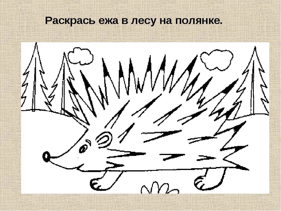 Ежик транскрипция 1 класс. Рисование ежик. ежик рисунок. схема рисования ежика для детей. еж раскраска.