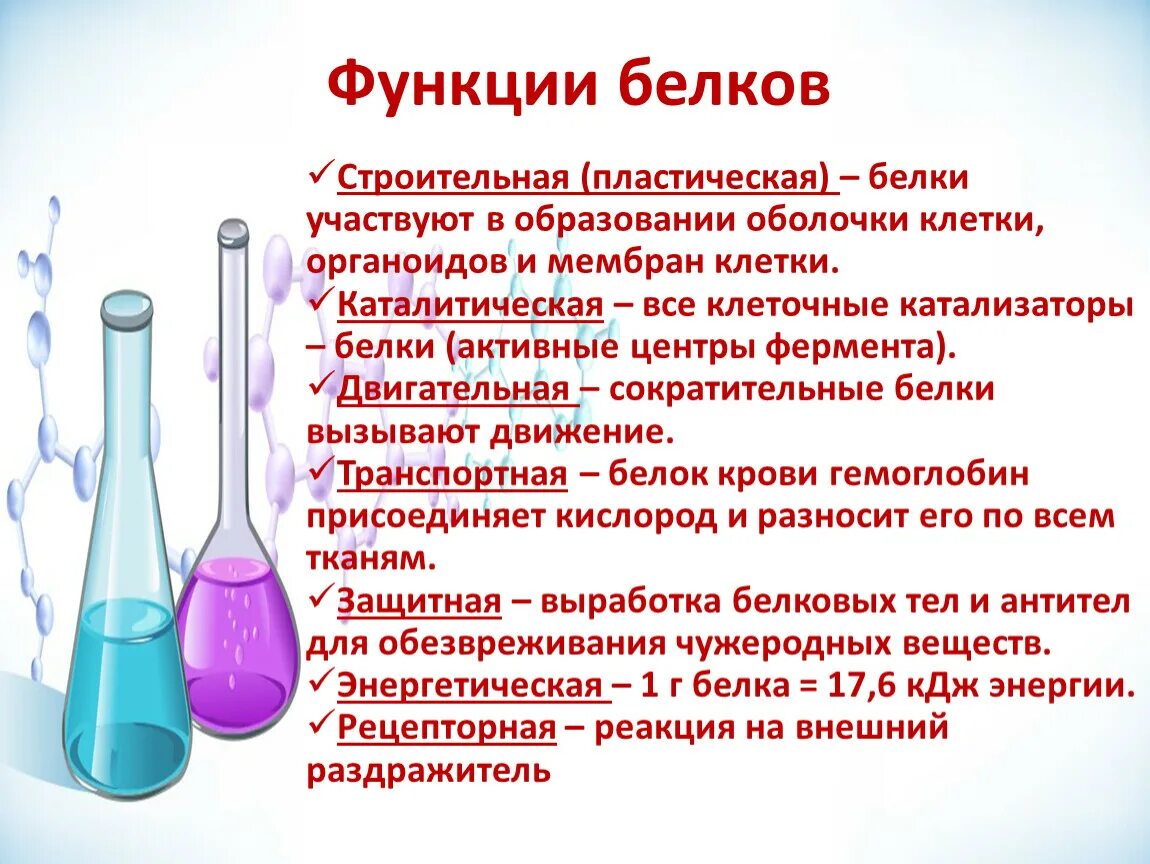 Функция белка химия. Белки функции белков. Функции белков в мембране клетки. Белки функции. Функции белков химия.