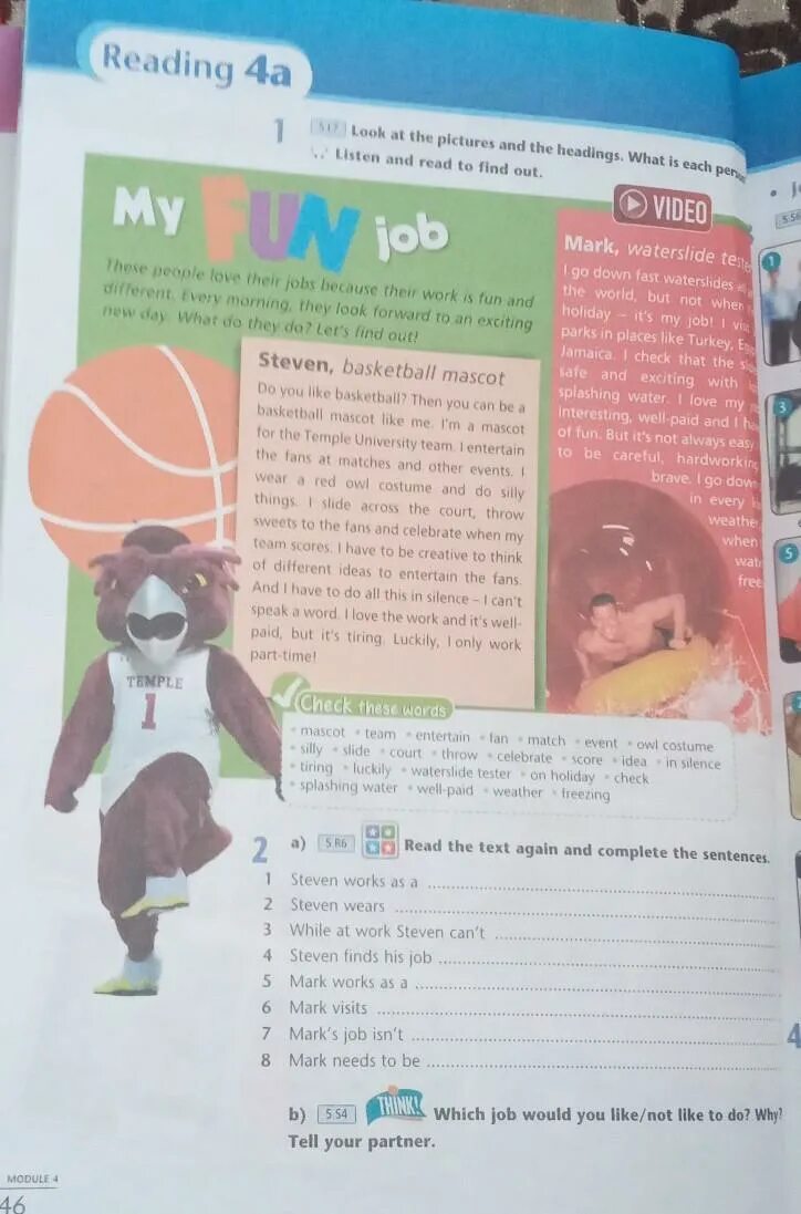 Steve worked has worked