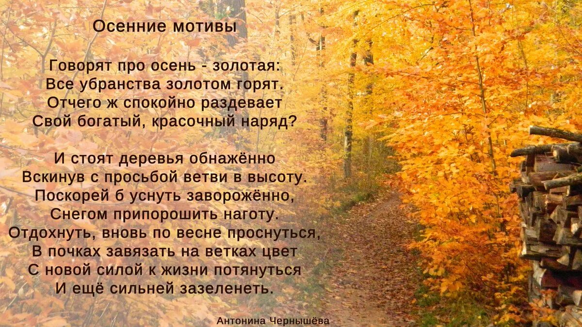 Автор стихотворения сентябрь