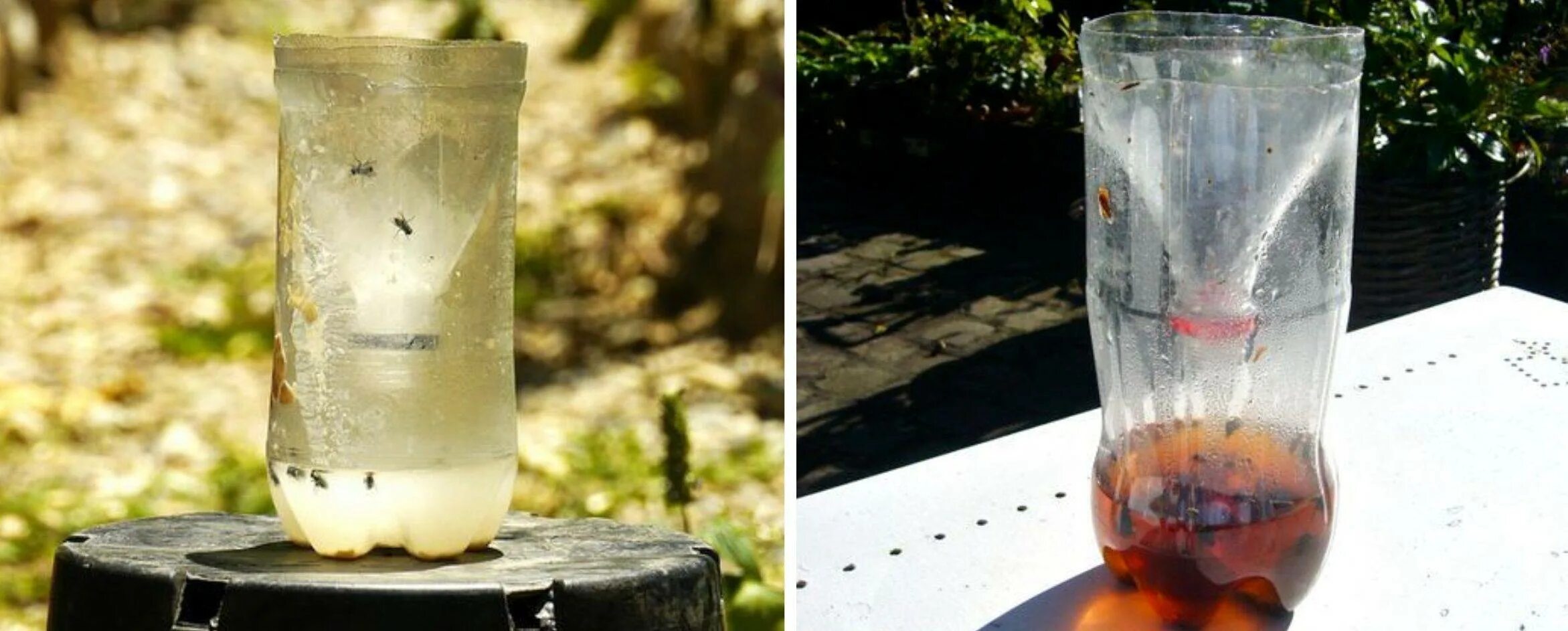 мухоловка ловушка для мух. ловушка для мух из пластиковой бутылки. мухоловка ловушка для мух. ловушка для мух своими руками из пластиковой бутылки. ловушка для мух своими руками.