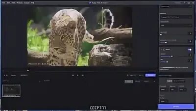 Topaz video 5