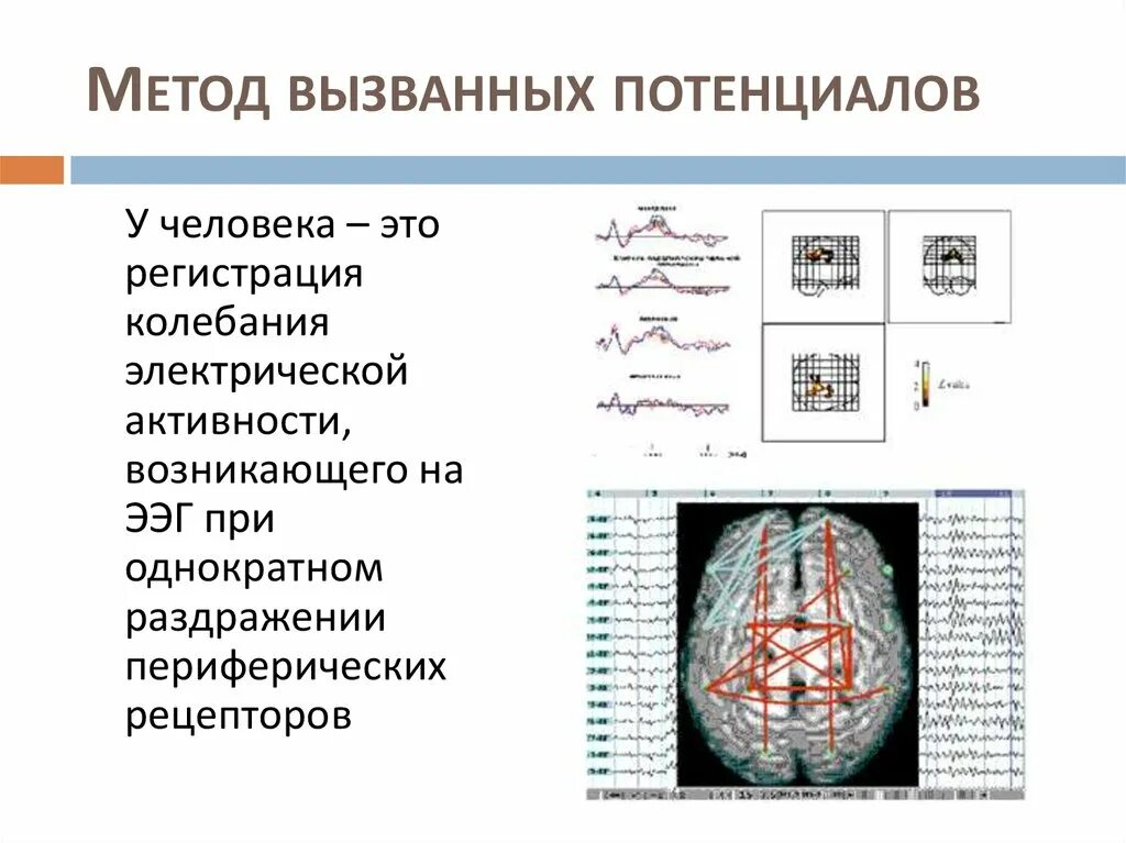 Методы изучения нервной системы