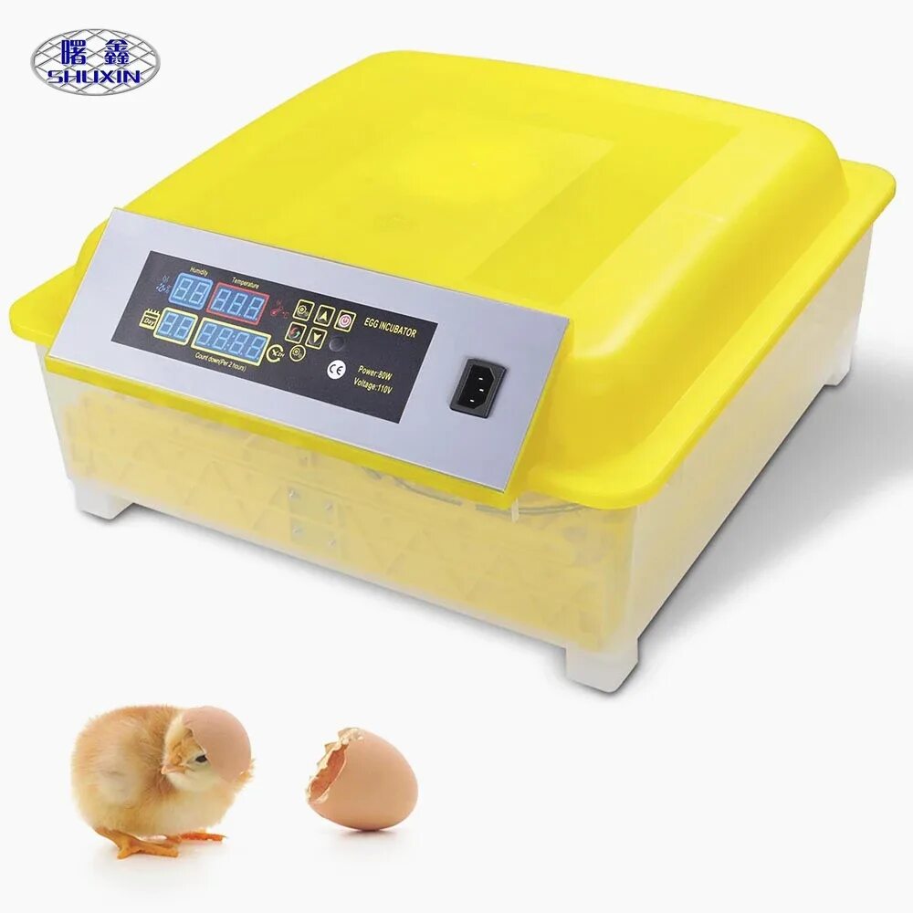 Домашний инкубатор для цыплят. Инкубатор для яиц egg incubator. инкубатор egg 56 hhd. инкубатор хирсона.