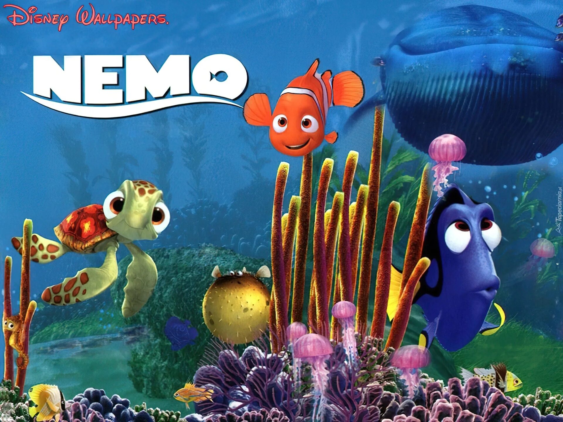 В поисках Немо finding Nemo. Немо из мультика. В пои немо